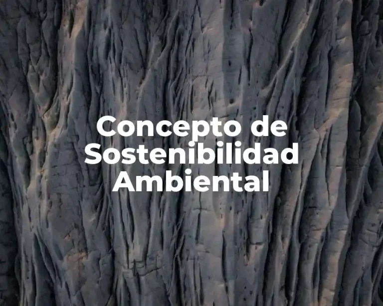 Concepto de Sostenibilidad Ambiental
