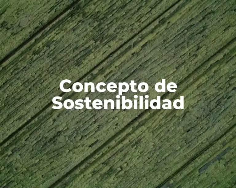 Concepto de Sostenibilidad
