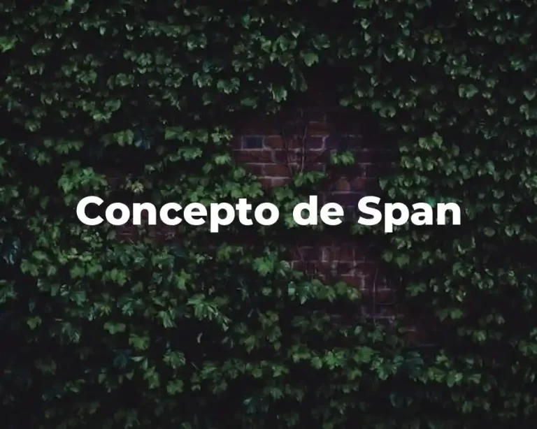 Concepto de Span