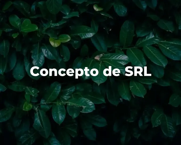 Concepto de SRL