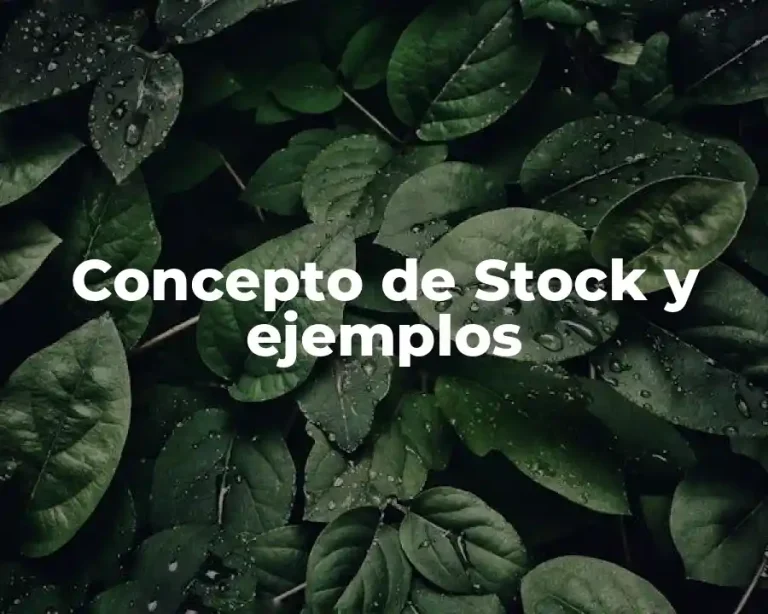 Concepto de Stock y ejemplos