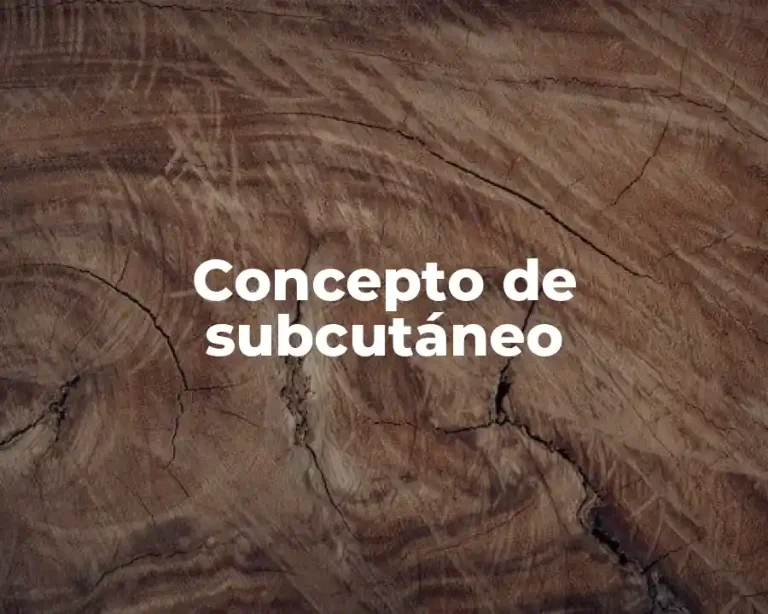Concepto de subcutáneo