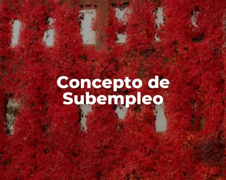 Concepto de Subempleo