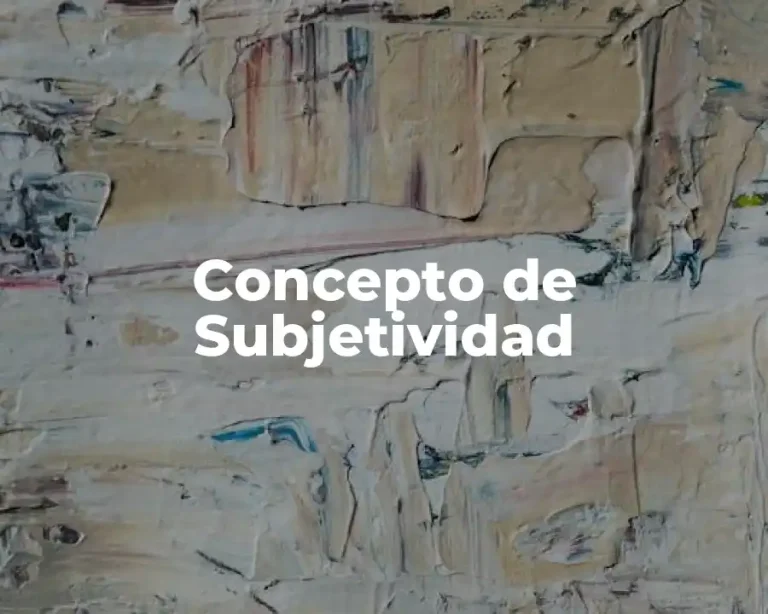 Concepto de Subjetividad