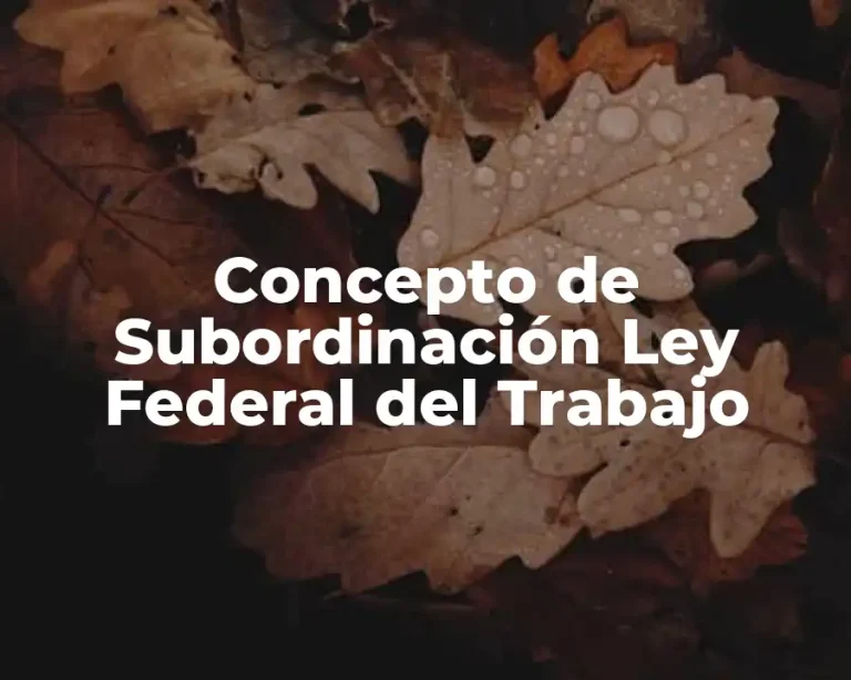 Concepto de Subordinación Ley Federal del Trabajo