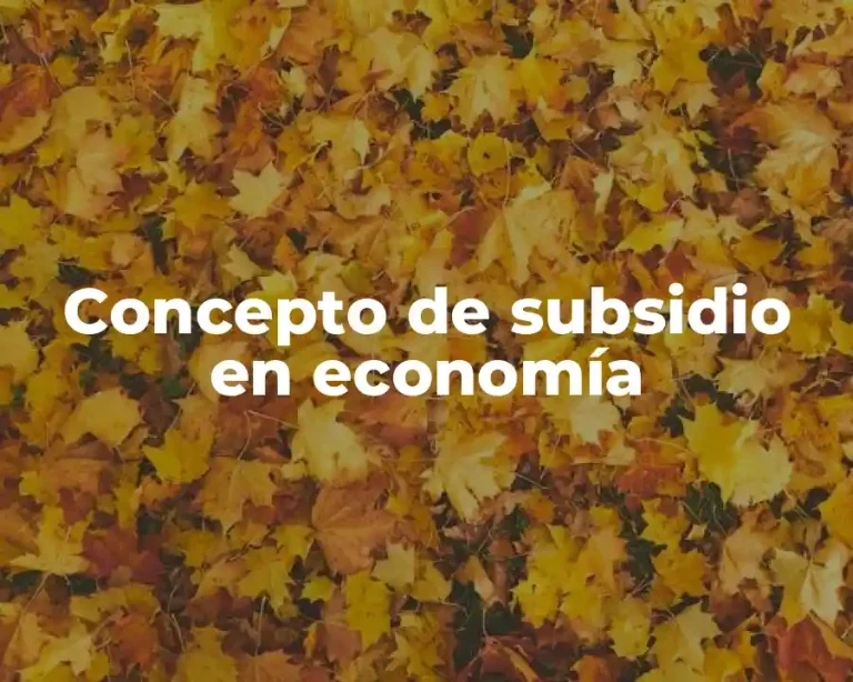 Concepto de subsidio en economía