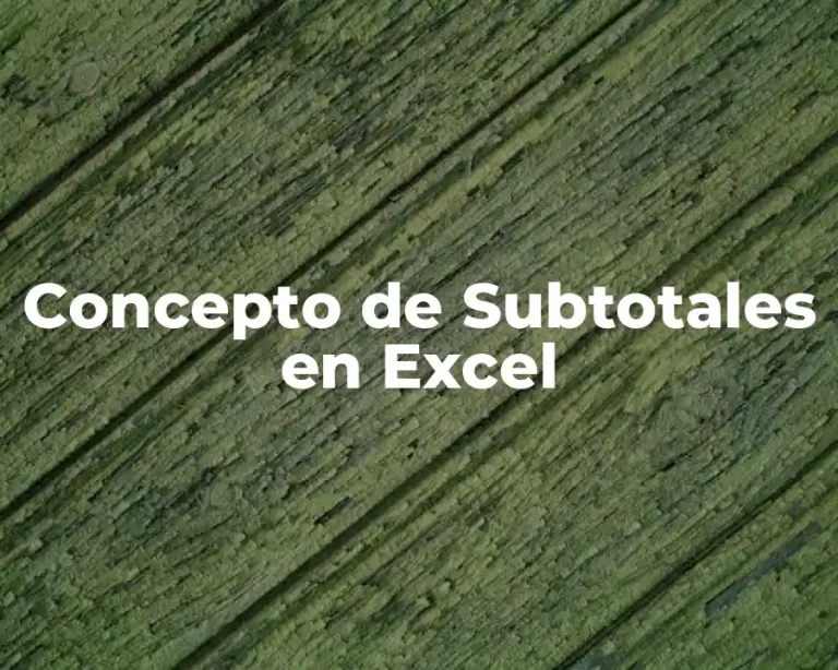 Concepto de Subtotales en Excel