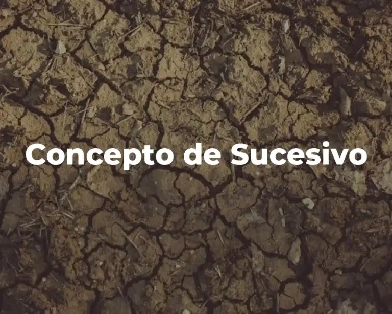 Concepto de Sucesivo