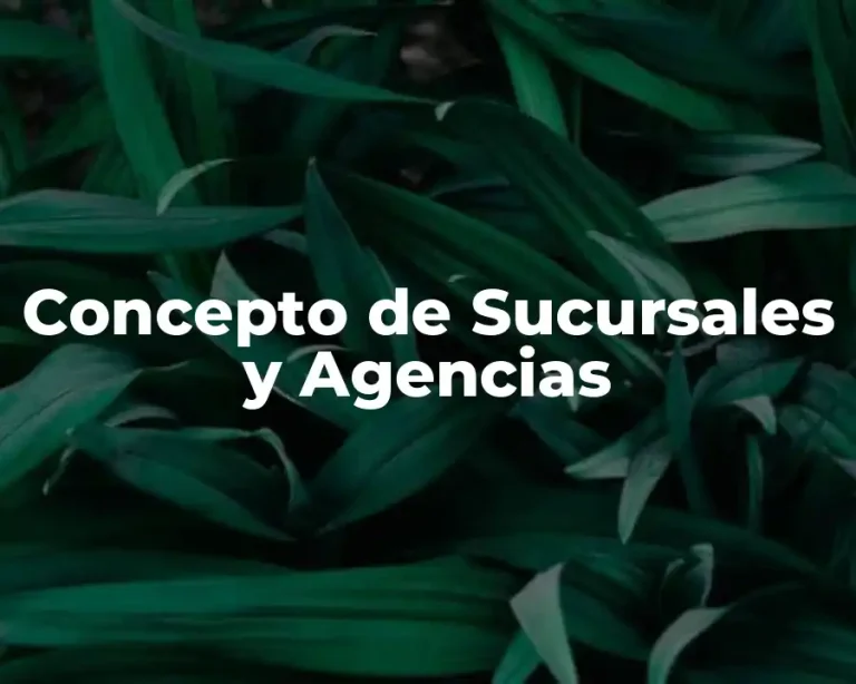 Concepto de Sucursales y Agencias