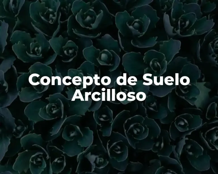 Concepto de Suelo Arcilloso