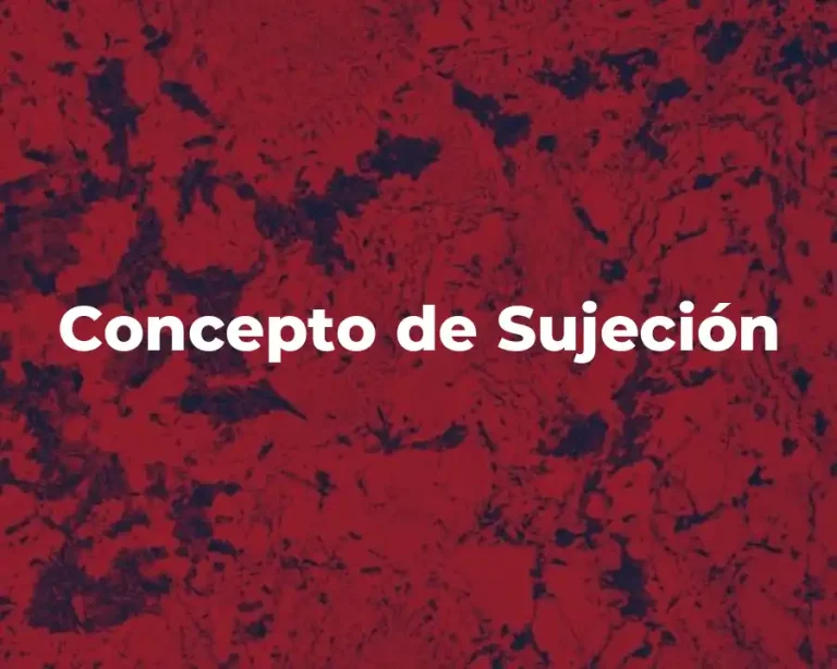 Concepto de Sujeción