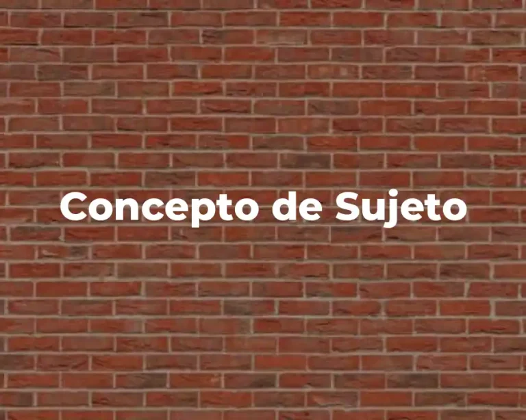 Concepto de Sujeto