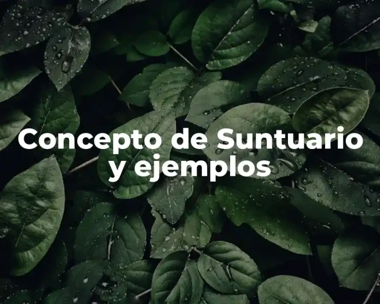 Concepto de Suntuario y ejemplos