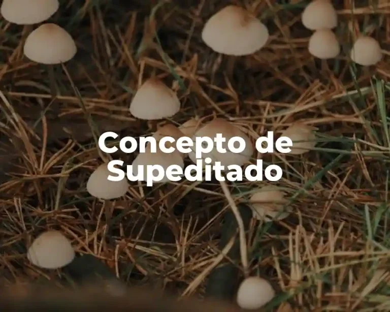 Concepto de Supeditado