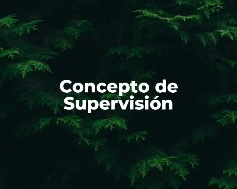 Concepto de Supervisión