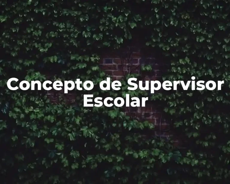 Concepto de Supervisor Escolar