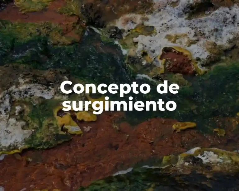 Concepto de surgimiento