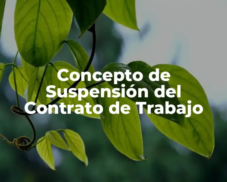 Concepto de Suspensión del Contrato de Trabajo
