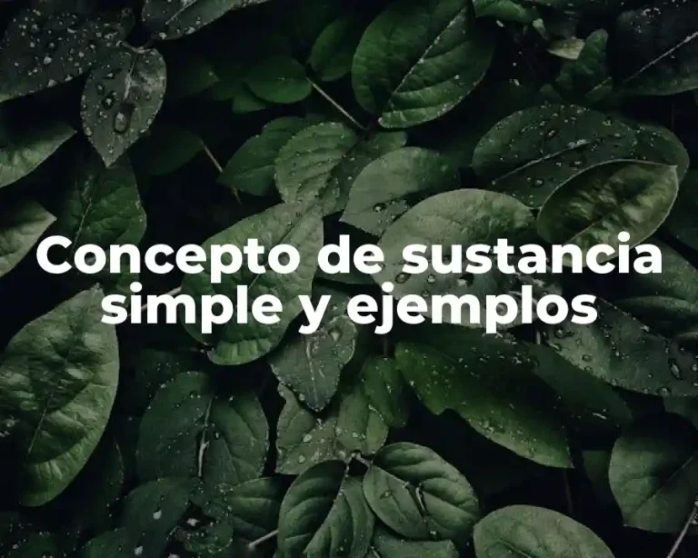 Concepto de sustancia simple y ejemplos