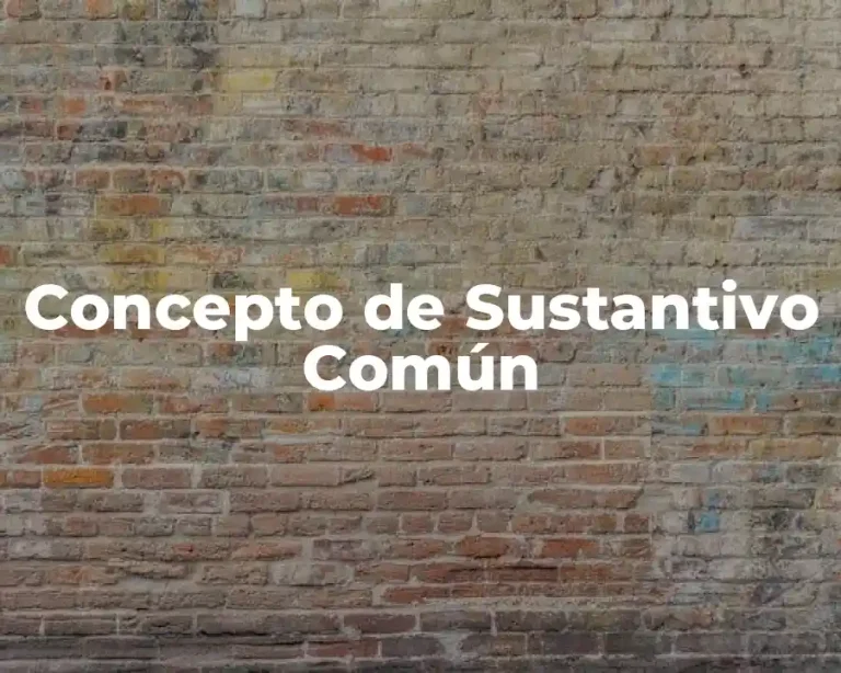 Concepto de Sustantivo Común