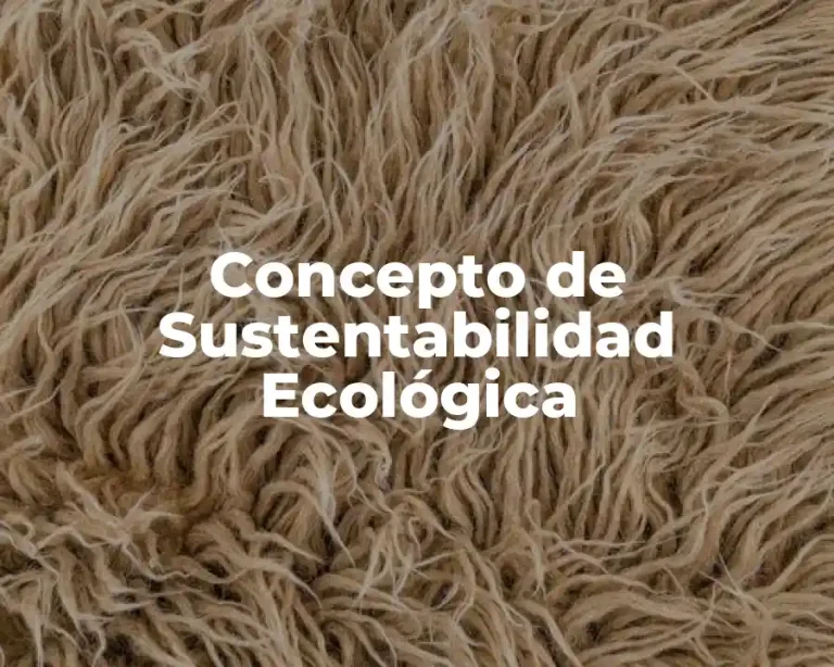 Concepto de Sustentabilidad Ecológica