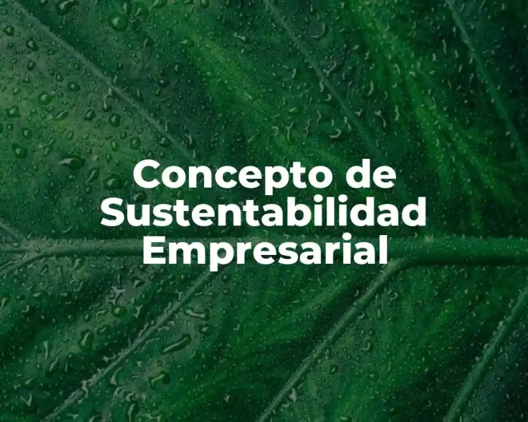 Concepto de Sustentabilidad Empresarial