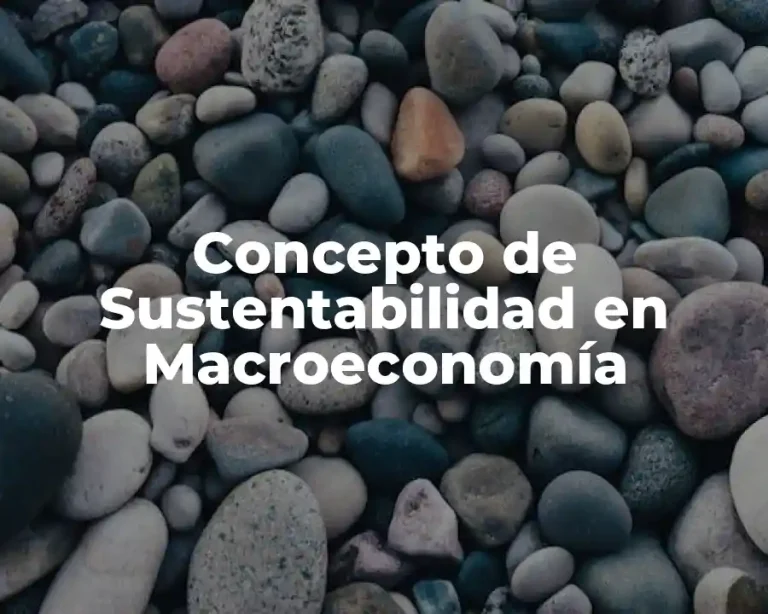 Concepto de Sustentabilidad en Macroeconomía