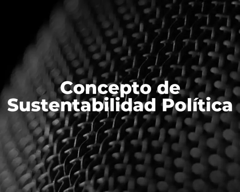 Concepto de Sustentabilidad Política