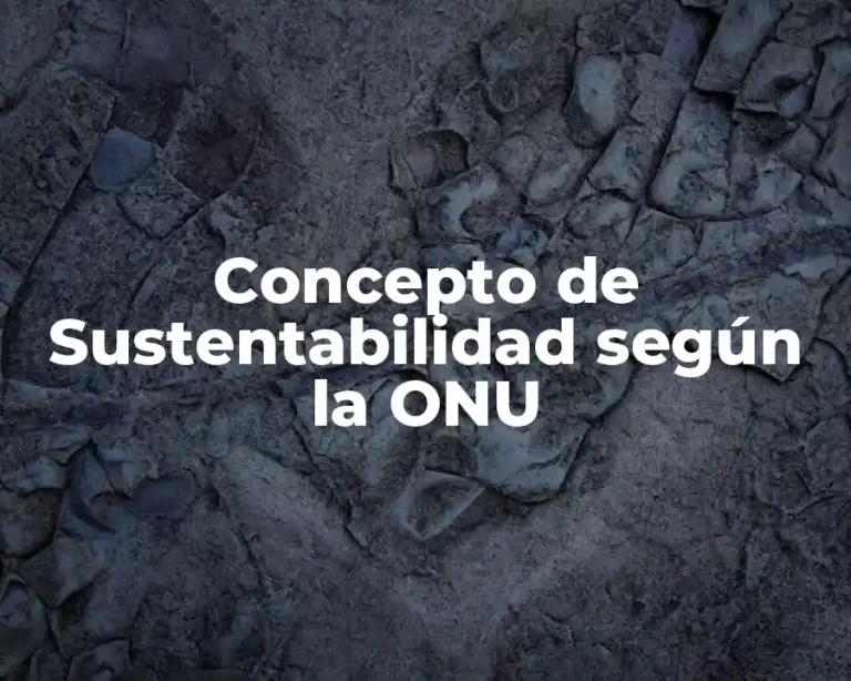 Concepto de Sustentabilidad según la ONU