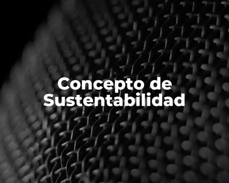 Concepto de Sustentabilidad