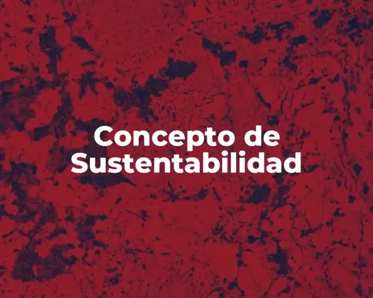 Concepto de Sustentabilidad