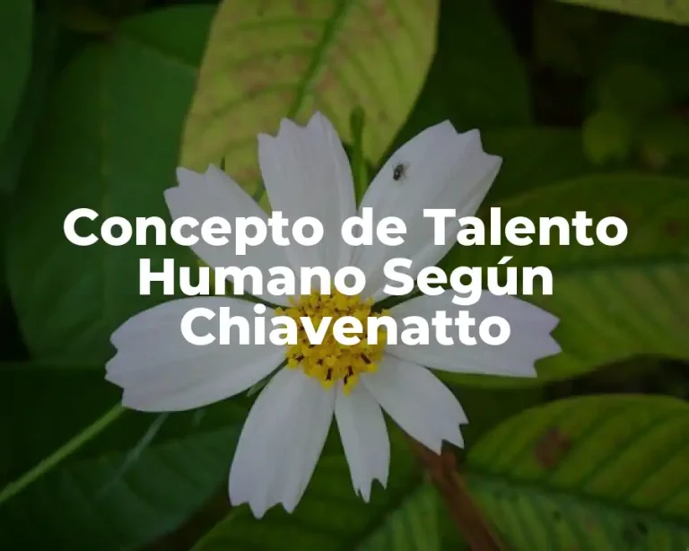 Concepto de Talento Humano Según Chiavenatto