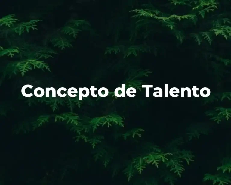 Concepto de Talento