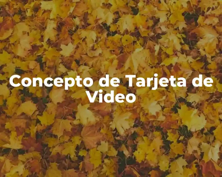Concepto de Tarjeta de Video