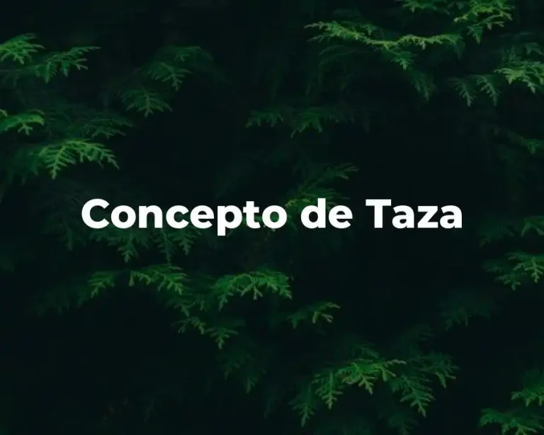 Concepto de Taza