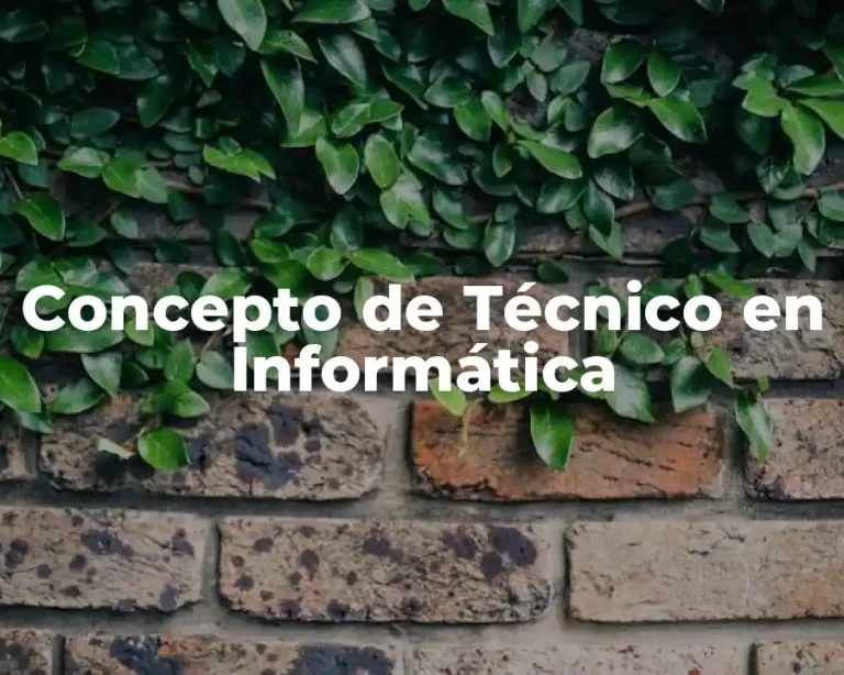 Concepto de Técnico en Informática