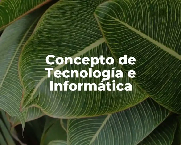 Concepto de Tecnología e Informática