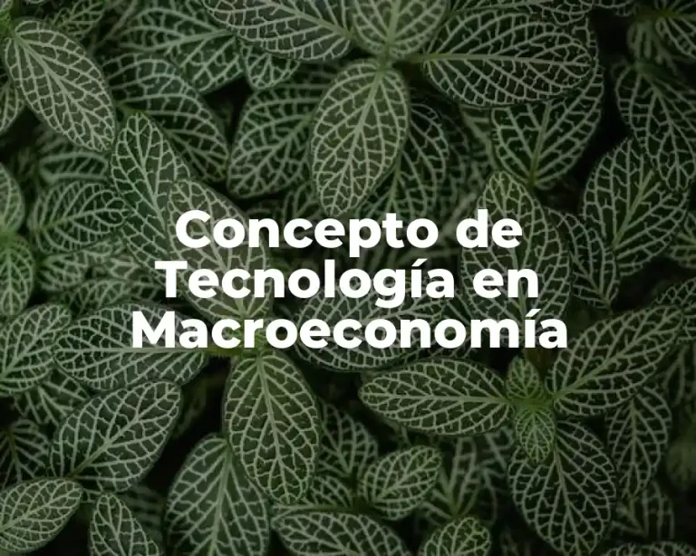 Concepto de Tecnología en Macroeconomía