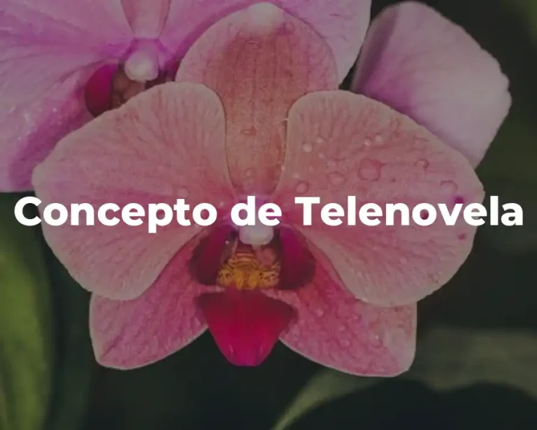 Concepto de Telenovela