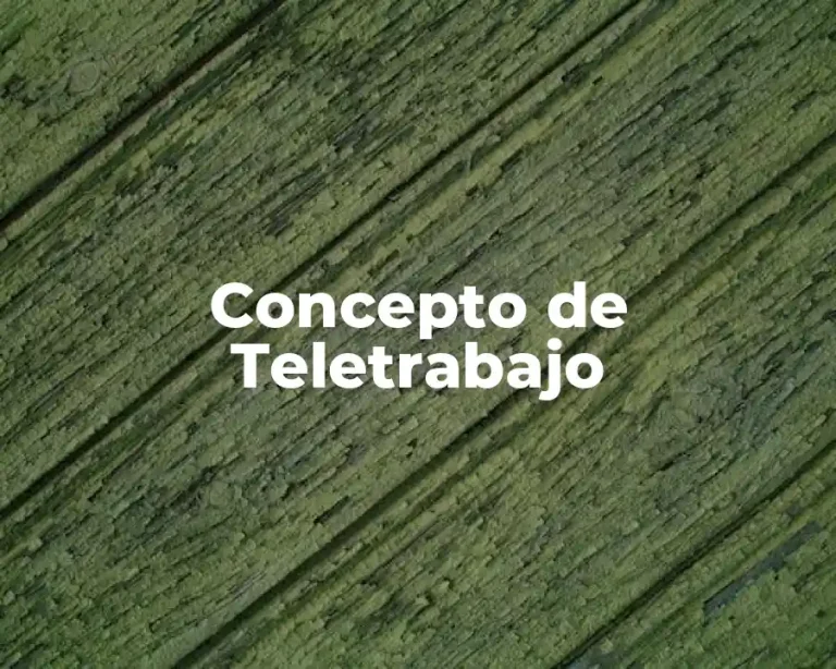 Concepto de Teletrabajo