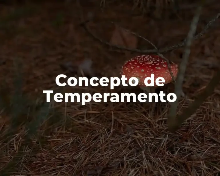 Concepto de Temperamento