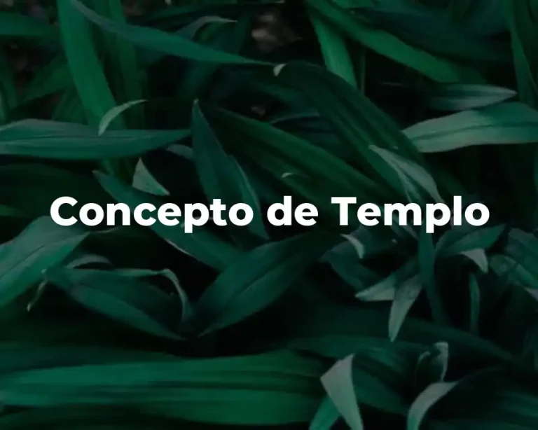 Concepto de Templo