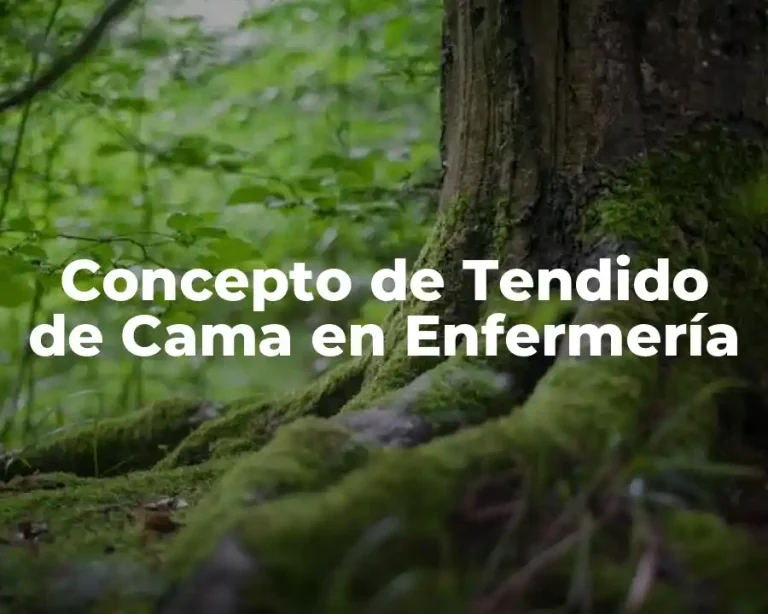 Concepto de Tendido de Cama en Enfermería