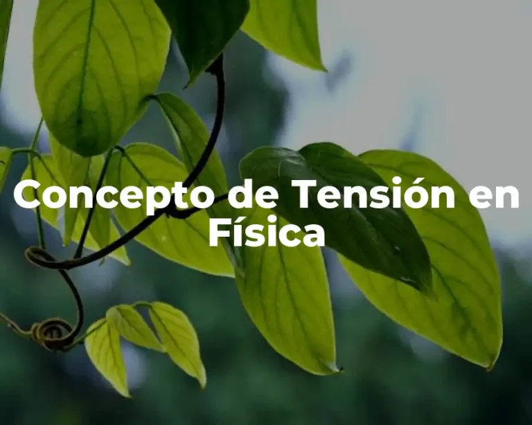 Concepto de Tensión en Física