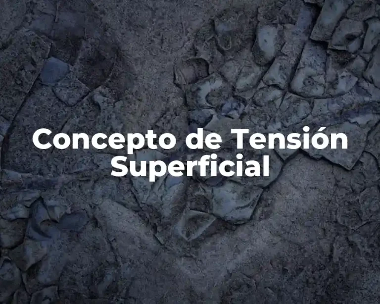 Concepto de Tensión Superficial