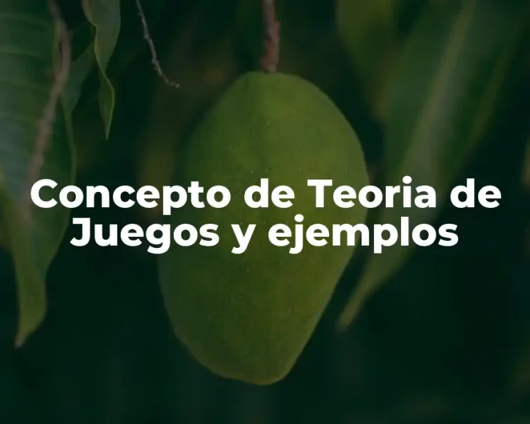 Concepto de Teoria de Juegos y ejemplos