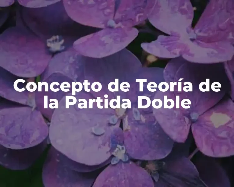 Concepto de Teoría de la Partida Doble