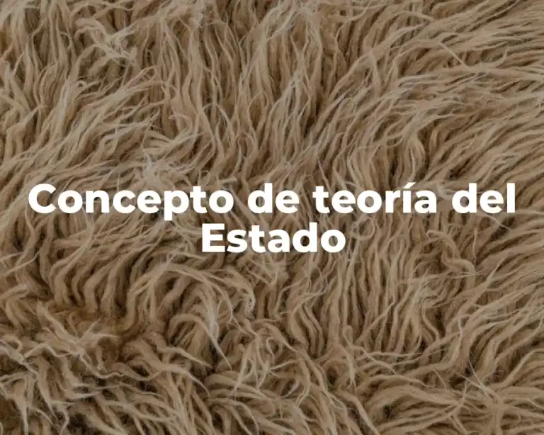Concepto de teoría del Estado