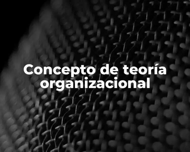 Concepto de teoría organizacional
