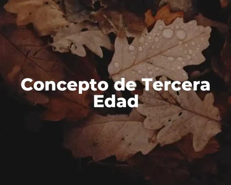 Concepto de Tercera Edad